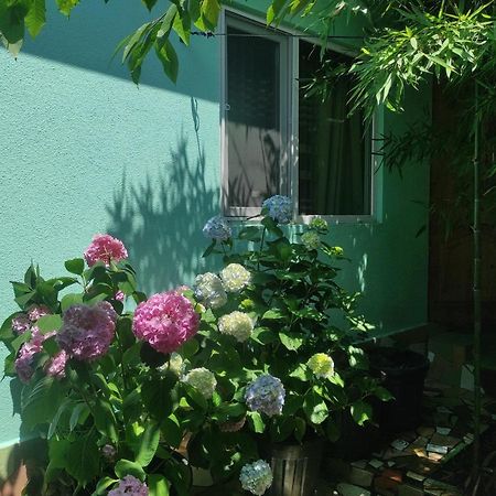 Гостевой Дом Ирина Hotel Sukhumi Eksteriør billede